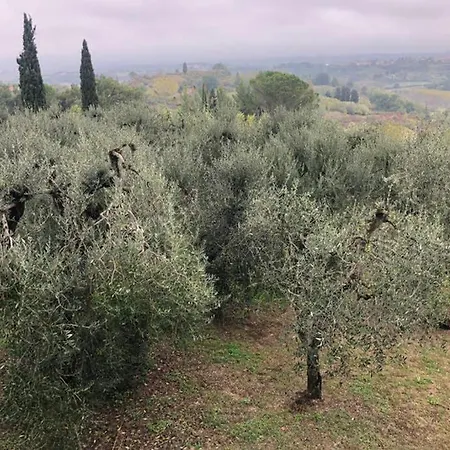 Casa Oleandro Holiday home