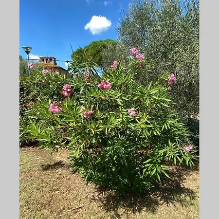 Holiday home Casa Oleandro *